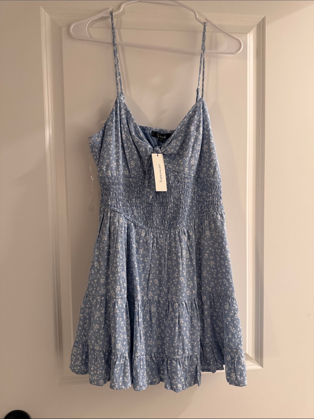 Francesca's Collections Light Blue Floral Mini Dress